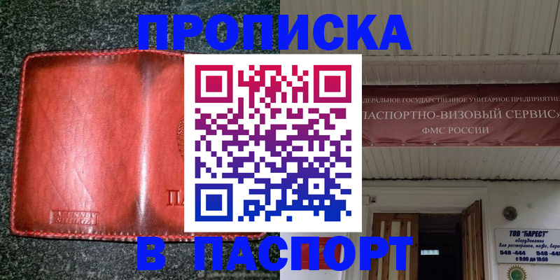 временная прописка в Дмитрове
